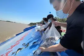趣新闻丨你知道吗？今天是全国放鱼日图片