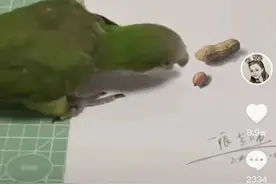 千锤百炼方得“妙手”！江苏画师逼真3D画让网友大呼：这是魔法吗？图片