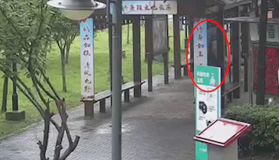 800元就可根治中风？“热心大姐”被刑拘