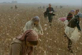 拐卖、虐待与剥削：《便利店》中的在俄中亚移工妇女图片