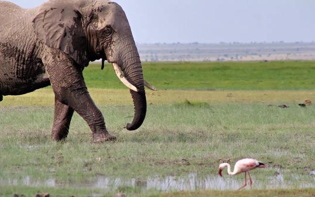 ����󹲴桪����Ͳ�Τ���Գ���֮��