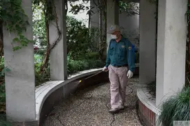 夏日来临，恼人的蚊蝇究竟如何灭？看这一篇就够了图片