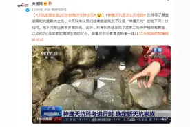 天坑底部发现2亿年前海洋生物化石图片