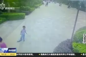 卡丁车铲倒男童，后脑勺重重摔地受伤！生猛“网红玩具”如何管理？图片