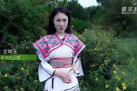 “采蘑菇的小姑娘”带你走进菌子的世界图片