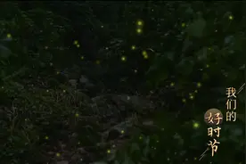 我们的好时节⑥丨小暑：抓黄鳝，看萤火虫，重返记忆中的“童年仲夏夜”图片