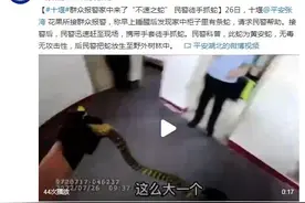十堰一居民早上睡醒后发现柜子里有条蛇 民警徒手抓蛇图片