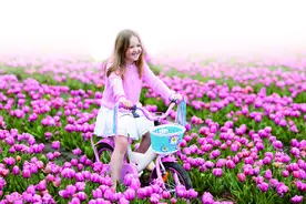 骑次自行车，才更懂荷兰图片