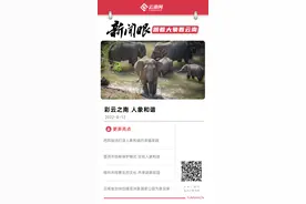 「新闻眼·跟着大象看云南」彩云之南，人象和谐图片