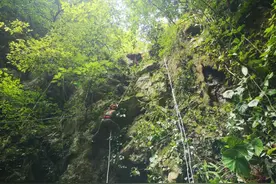 广西南宁：3名大学生进山考察不慎坠入30米深的天坑图片