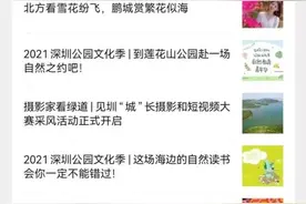 深圳中心公园停车场今起网上预约，试运行期间不收费图片