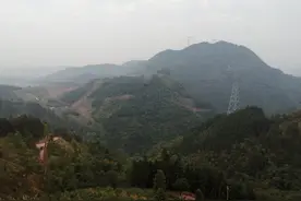 广西平乐县瑶乡开拓“神草”致富路图片