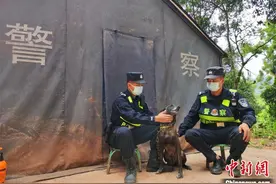中老边境云南磨憨：神犬奇兵与民警并肩作战守护平安图片