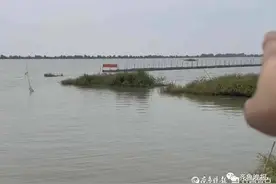 网红称1800万包下4000亩大湖，要抽干水抓鱼？官方回应图片