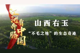 江河奔腾看中国·黄河行丨山西右玉：“不毛之地”的生态奇迹图片