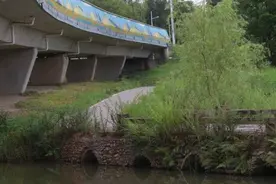 都市寻虫者｜公园城市昆虫多样性科考日记——白鹭湾的蜻蜓之美图片