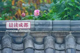 晨读成都 | 最新！成都汽车保有量超500万辆图片