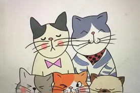 青未了 | 记忆深处的猫(上)图片