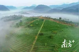 非凡十年·广东答卷｜清远英德：谋发展开新局 惠民生暖民心图片