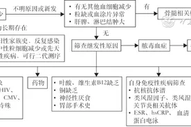 中性粒细胞减少症诊治中国专家共识图片