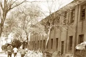 张玉兰专栏 | 弟弟回乡的日子图片