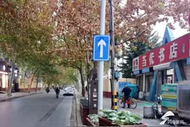 12月7日起抓拍处罚！聊城城区健康北路设置为单行道图片