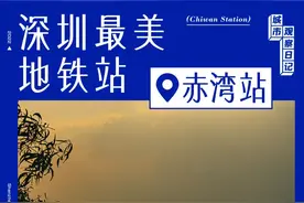 深圳最冷门海港小镇，在南山，人超少图片