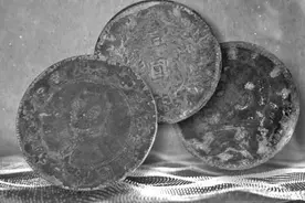 三块银元见证共产党员的初心图片