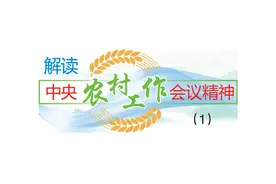 解读中央农村工作会议精神①丨张云华：保障粮食安全是农业强国的基本目标和首要任务图片
