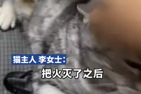 猫咪挨着暖炉取暖被烤糊 主人：猫没事，就是毛被烧焦了图片