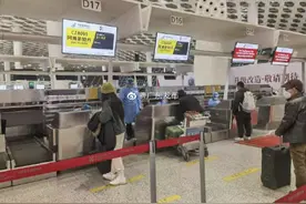 深圳首条直飞荷兰航线开通图片