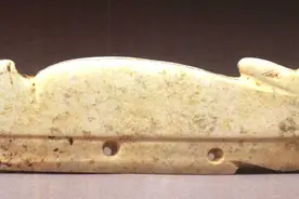 历史里的兔子：与老鼠曾有渊源 《诗经》记载四种食用方法｜宏兔2023图片