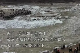 黄河壶口瀑布流凌封河 往日奔腾咆哮的瀑布消失了图片