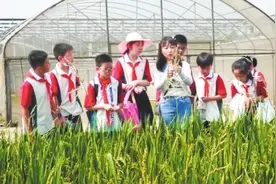 同上一场思政课 | 香甜的大米从哪里来？ 孩子们田间插秧体会“粒粒皆辛苦”图片