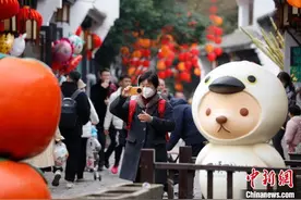 （新春走基层）杭州西溪湿地年味浓 水乡婚俗等老底子民俗引风尚图片