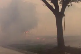 近8亩草坪被烧！谁家的“熊孩子”又闯祸了！图片