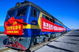 出国葵花籽、回国油葵籽，网友：傻傻分不清楚图片