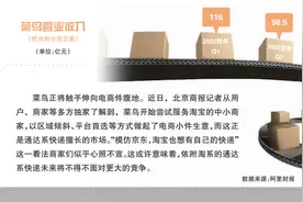 菜鸟抢食电商小件 淘系物流暗流涌动图片