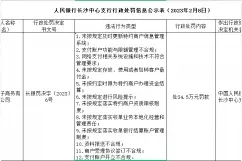 中移电子商务公司12宗违规被罚 为中国移动全资控股图片