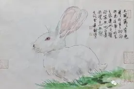 扁豆炒成虼蚤斑｜苏北图片