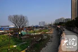 新时代新征程新伟业｜芜湖十里江湾：从一片荒芜之地变成网红公园图片