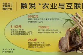 农业与互联网｜环县羊肉：55亿产值与标准化产业链背后图片