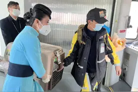 搜救犬Lucky凯旋！公羊救援队首批队员返回国内图片