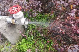 上游帮忙 | 花台里的水管不断滴水，这是咋了？图片