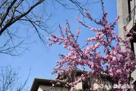 诗/春天来了图片