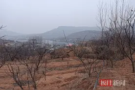 网红“管管”自杀离世：生命最后一天仍在寻找网暴者图片