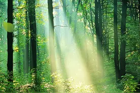 【特色疗法】春季湿困，颈脖酸痛，中医“拔罐”有办法图片