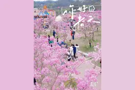 这个春天，来趟廉江，看这姹紫嫣红，看那绿野蓝天图片