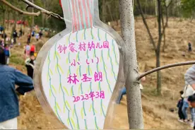 我为武汉添抹绿 钟家村幼儿园开展义务植树活动图片