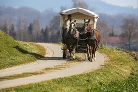 德国气温回升春光明媚温暖和煦图片